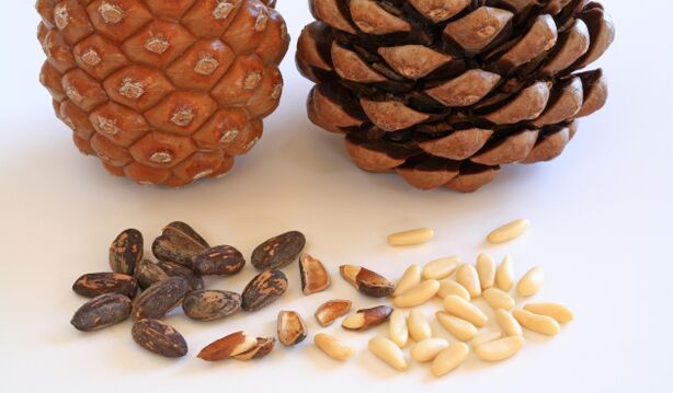 Pine nuts will help strengthen the erection and improve the mood of men. 